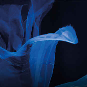 I. Die Pforte der Einweihung