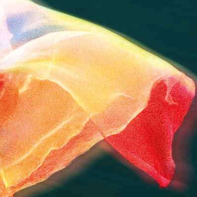 Anthropos: Fire in the Temple